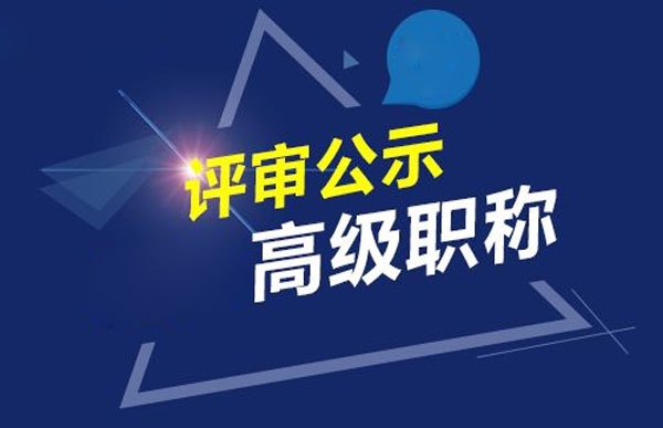 公有制副高正高級工程師