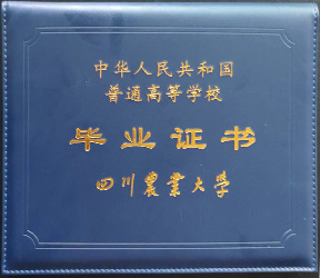赤峰計(jì)算機(jī)培訓(xùn)學(xué)校