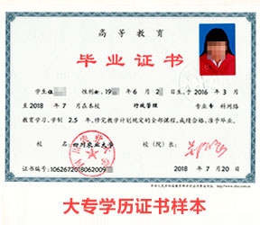 赤峰專(zhuān)科本科學(xué)歷提升