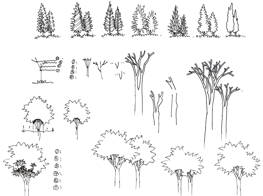 第四節(jié)課：景觀場景元素（植物）講解與演示（二）